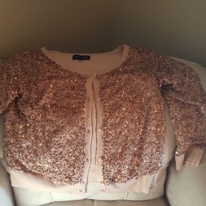 American Eagle  Bling Sweater